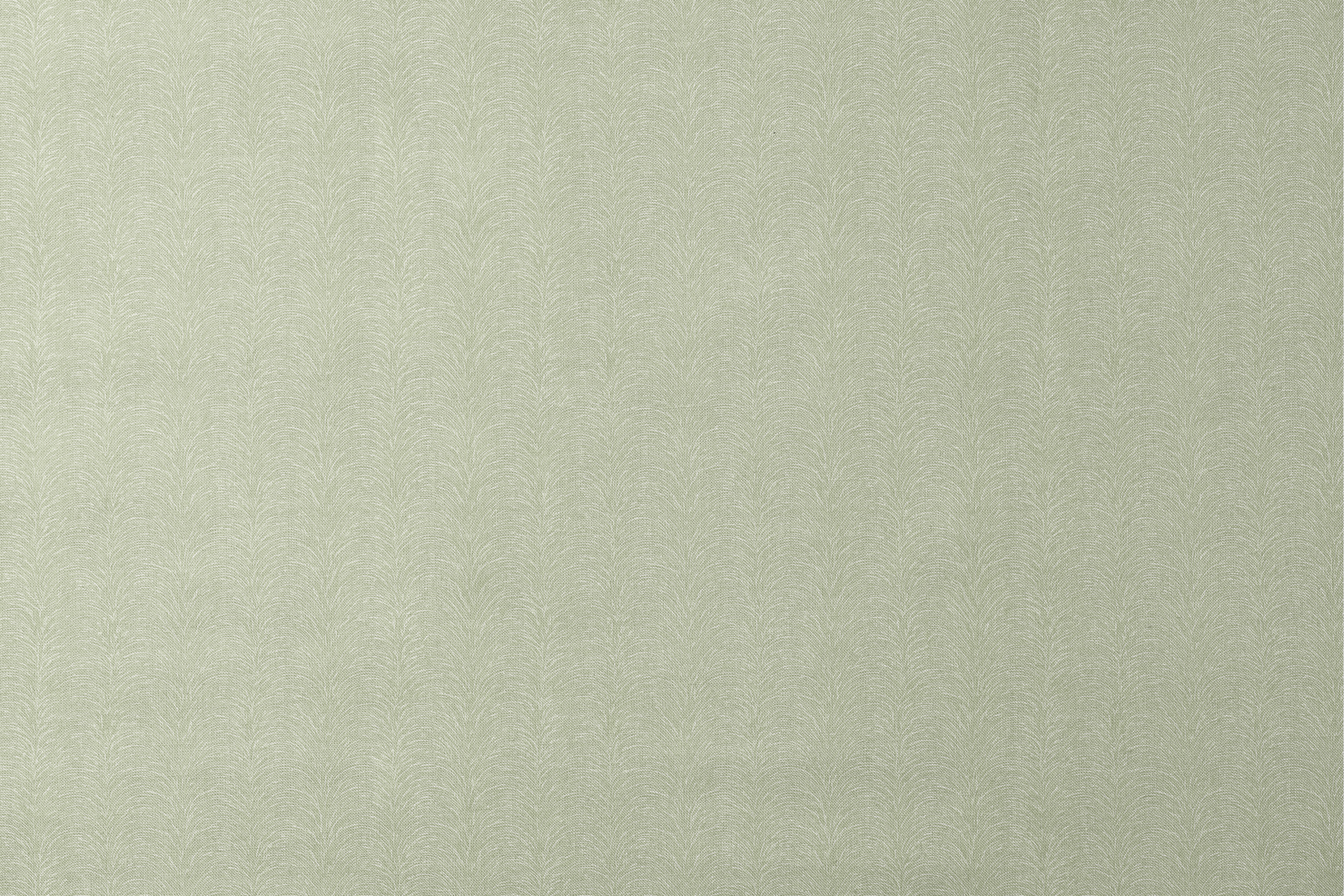 designs flat mockup