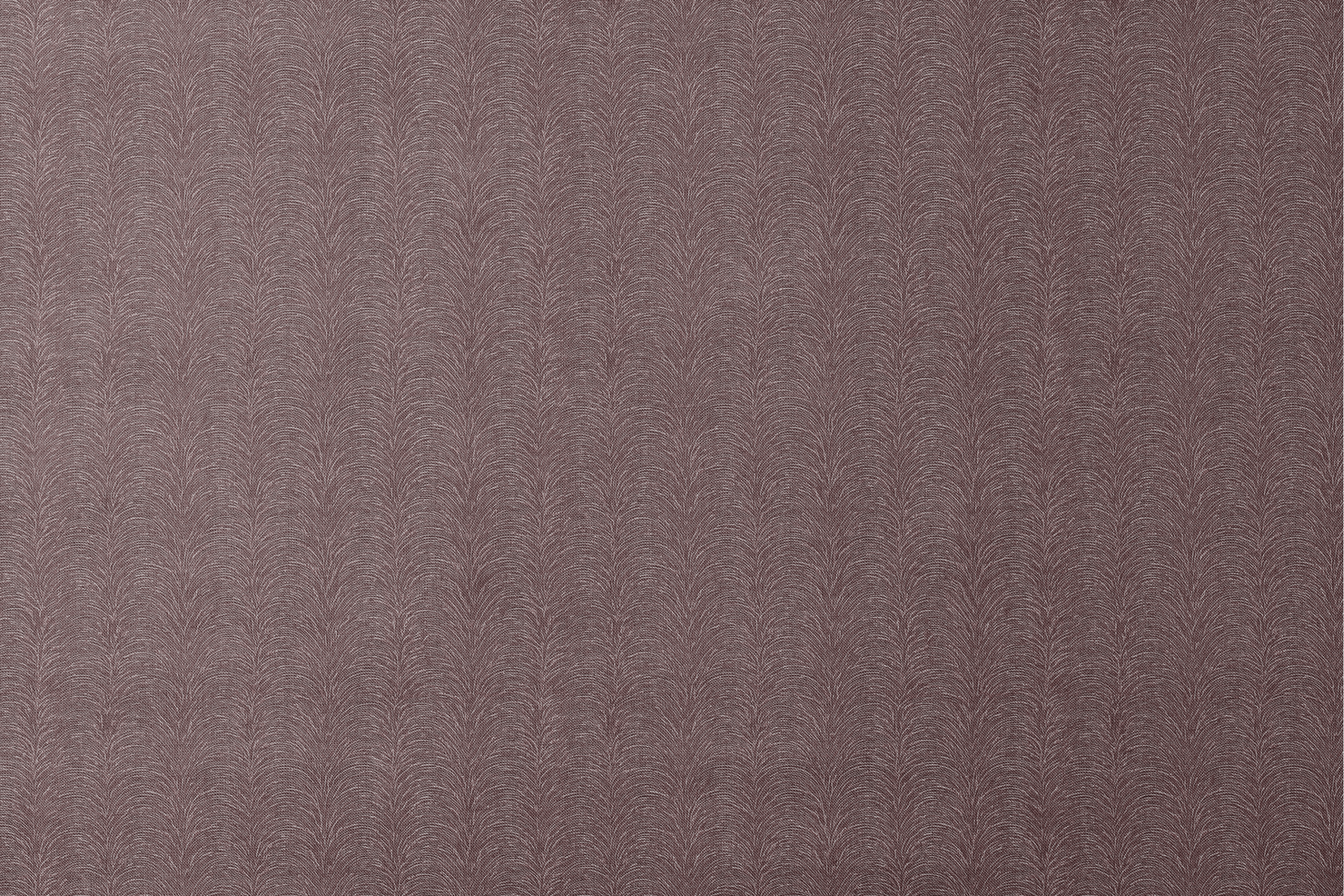 designs flat mockup