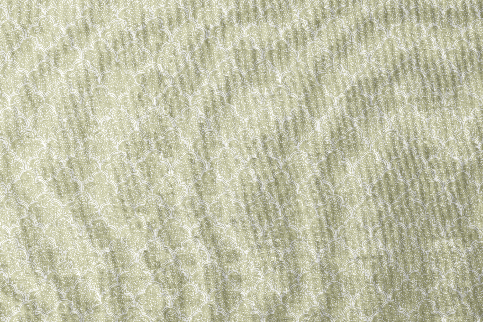 designs flat mockup