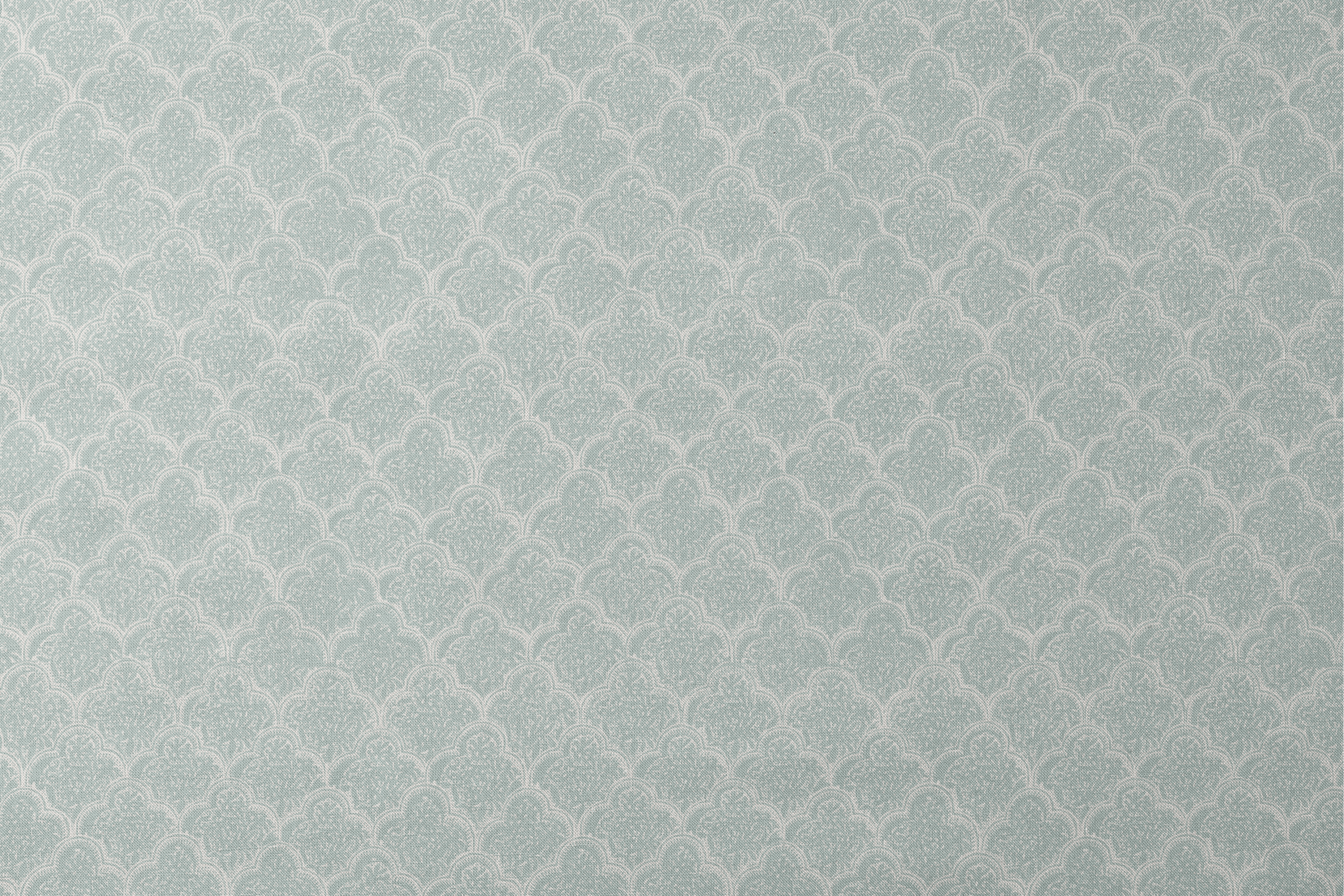 designs flat mockup