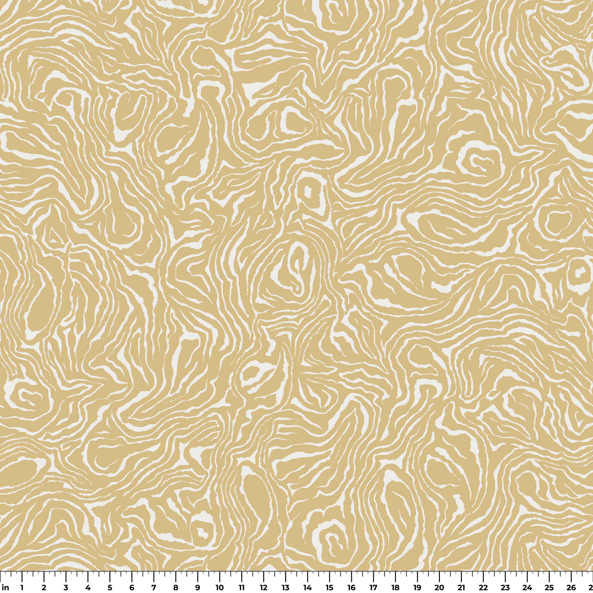 ruler