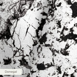 Abstract black and white speckled texture with irregular organic patterns and high contrast