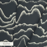 Papyrifera - Calcite Fabric