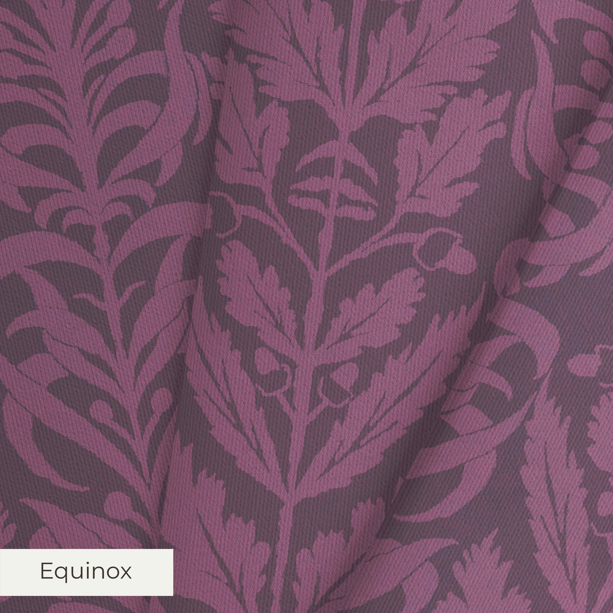 Bellota - Paean Fabric