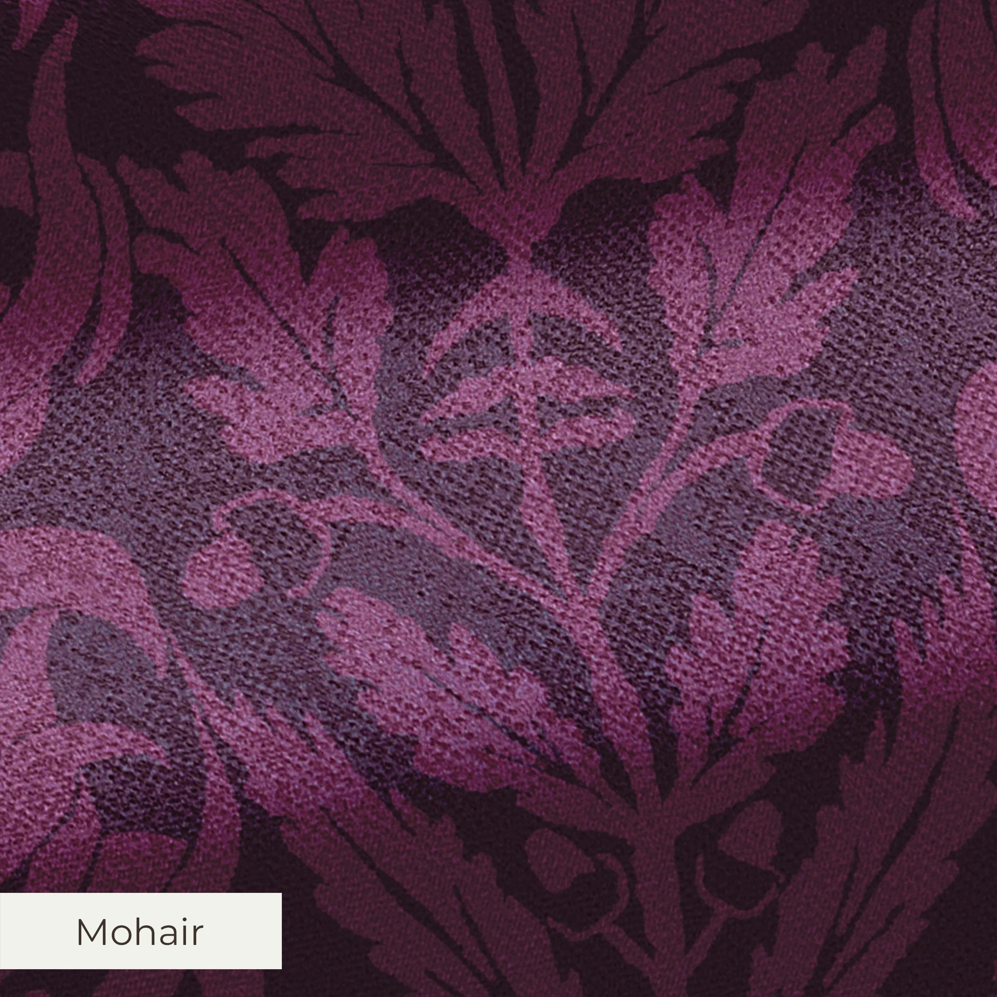 Bellota - Paean Fabric