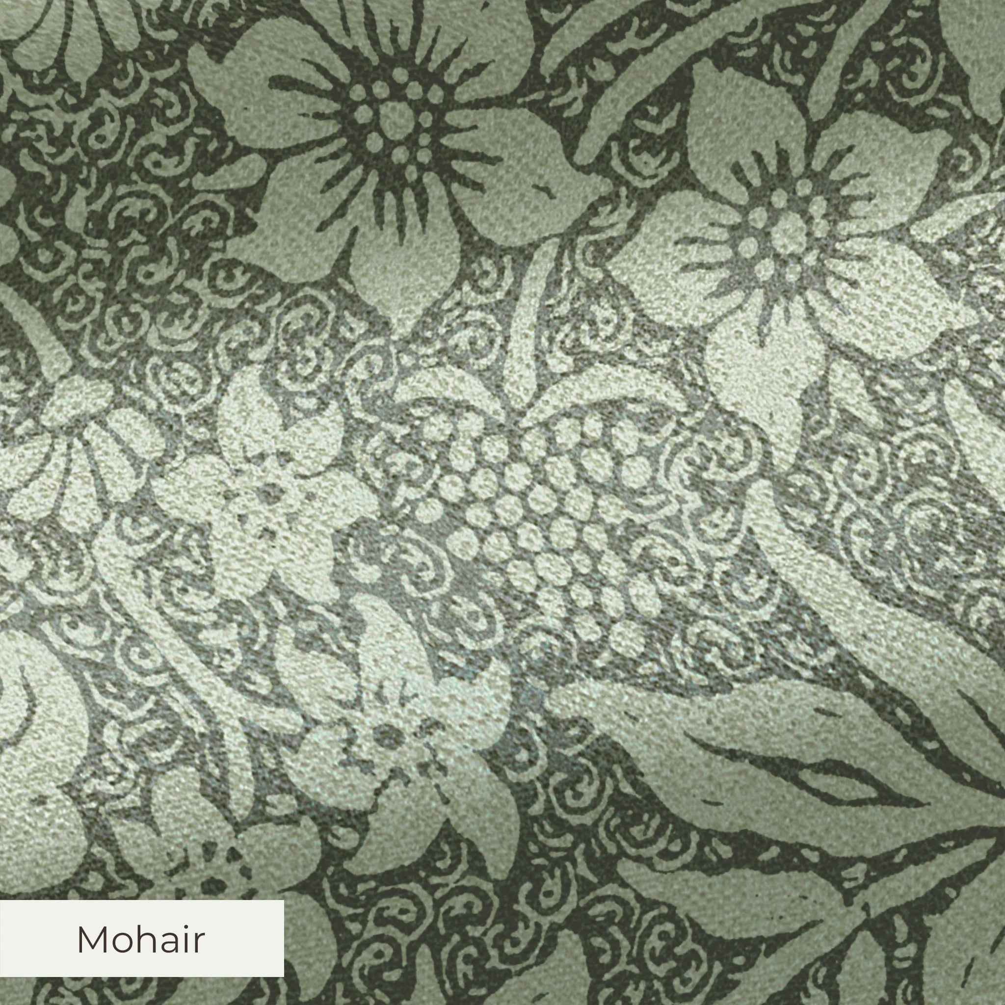 Disney | Baxter Mill - Princess - Cinderella - Dream - Garden Fabric