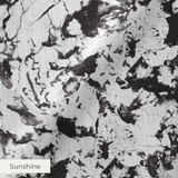 Abstract black and white speckled texture with irregular organic patterns and high contrast
