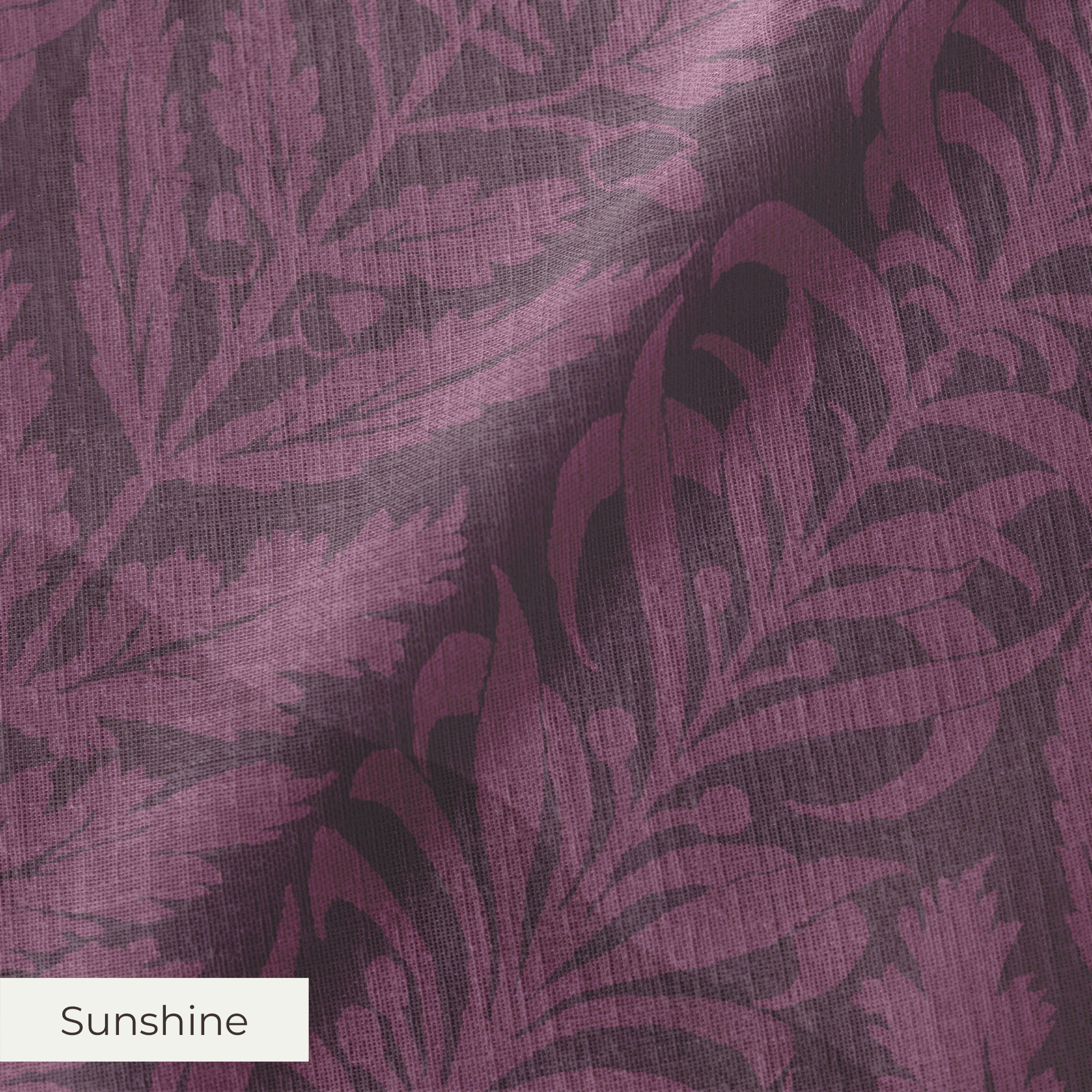 Bellota - Paean Fabric