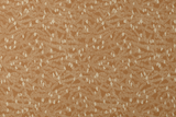  #material_Corduroy,Donegal,Hopscotch,Mohair Alta™ DWR,Newport,Relic,Zig Zag,Sunshine,Charlotte,Equinox