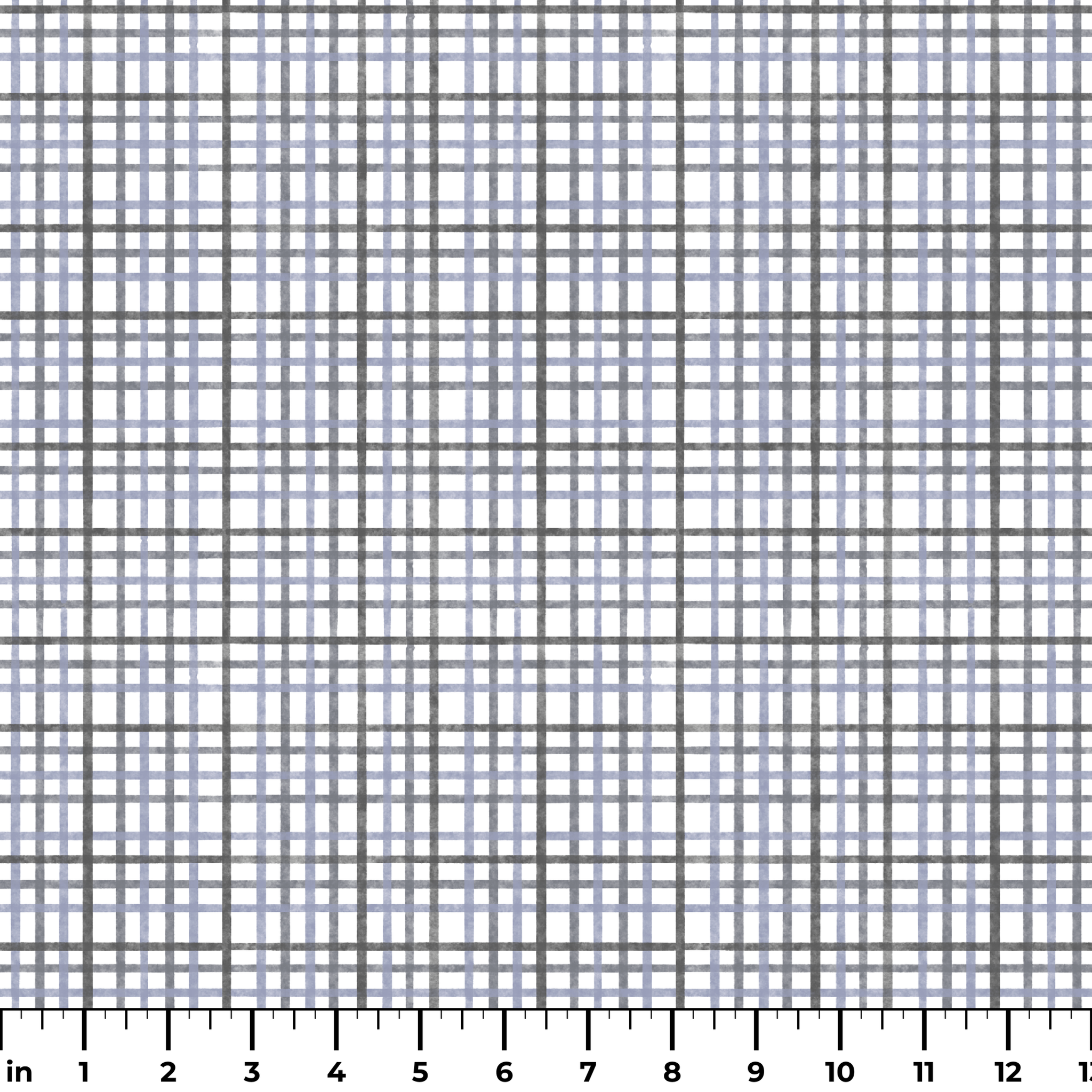  ruler