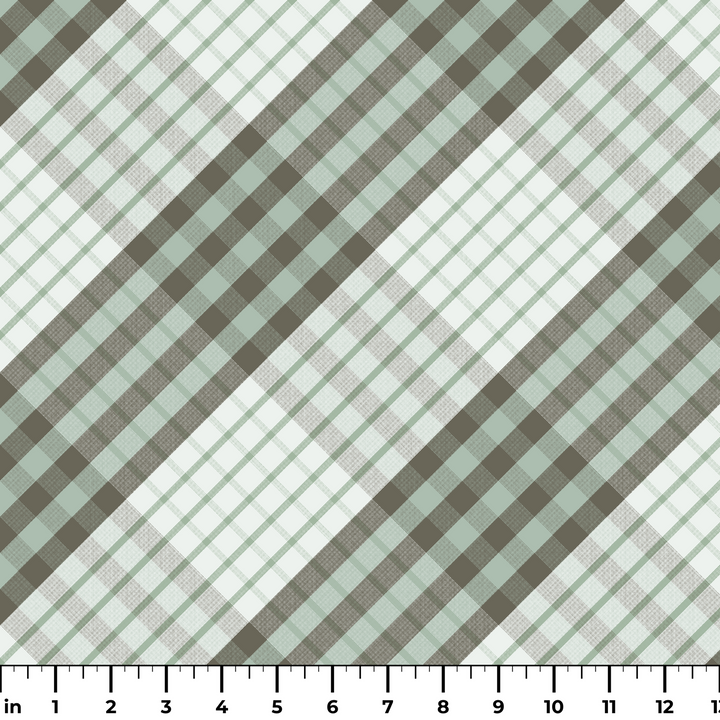  ruler