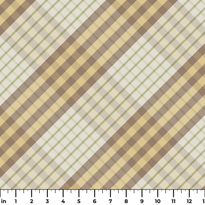  ruler
