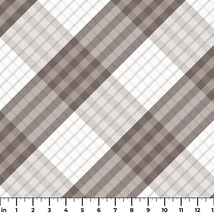  ruler
