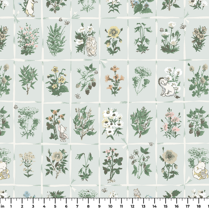  ruler