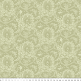  ruler