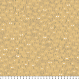  ruler