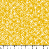  ruler