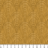  ruler