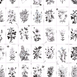 Botanical illustration grid showing various vintage black and white plant and flower sketches