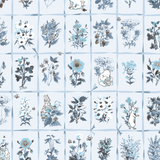 Vintage botanical illustration grid pattern with blue and green pressed flowers and plants on white