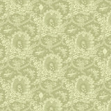  wallpaper flat preview mockup
