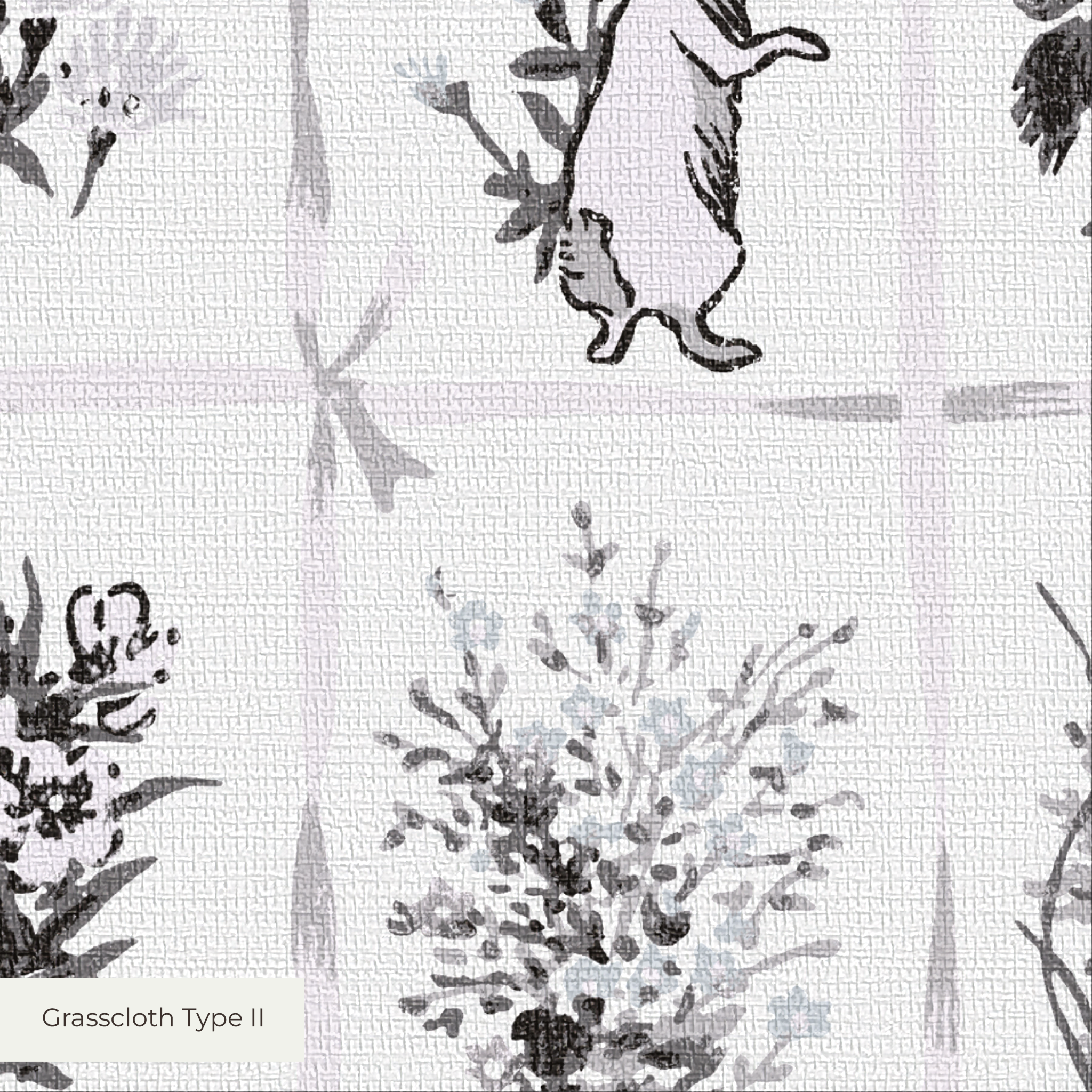 Botanical illustration grid showing various vintage black and white plant and flower sketches