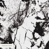  wallpaper grasscloth2 detail mockup