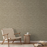 Papyrifera - Fossil Wallpaper