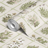 Botanical illustration grid of vintage medicinal and wild plants with detailed hand-drawn sketches