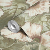 Pari - Old White Wallpaper