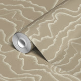 Papyrifera - Fossil Wallpaper